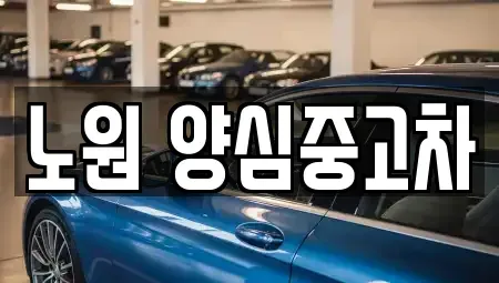 서울 노원구 중고차 전문 노원 양심중고차