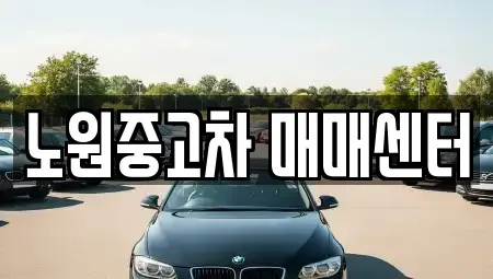 서울 노원구 중고차 전문 노원중고차 매매센터