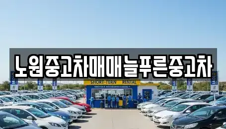 서울 노원구 중고차매매 전문 노원중고차매매늘푸른중고차