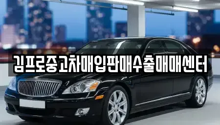 서울 노원구 중고차매입 전문 김프로중고차매입판매수출매매센터