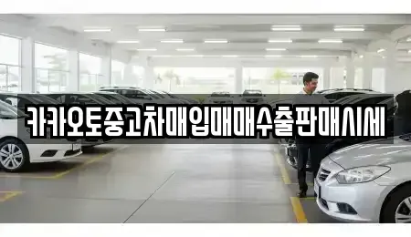서울 노원구 중고차매입 전문 카카오토중고차매입매매수출판매시세