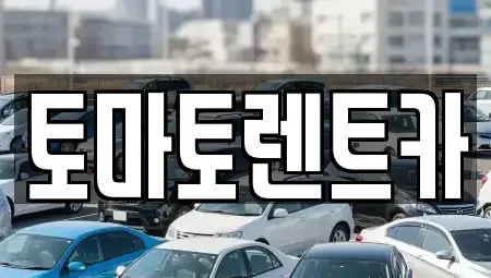 서울 성동구 상왕십리동 렌트카 전문 토마토렌트카