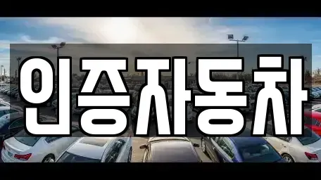 서울 성동구 상왕십리동 중고차 전문 인증자동차