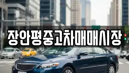 서울 성동구 상왕십리동 중고차,렌트카,중고차매입,중고차매매,장기렌트카,단기렌트카