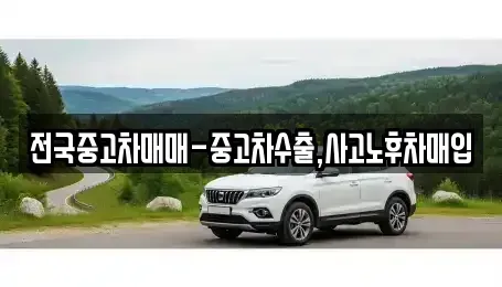 서울 성동구 상왕십리동 중고차매입 전문 전국중고차매매-중고차수출,사고노후차매입