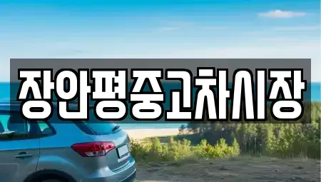 서울 은평구 녹번동 중고차 전문 장안평중고차시장