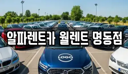 서울 종로구 익선동 렌트카 전문 알파렌트카 월렌트 명동점