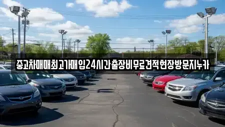 서울 종로구 익선동 중고차 전문 중고차매매최고가매입24시간출장비무료견적현장방문지누카
