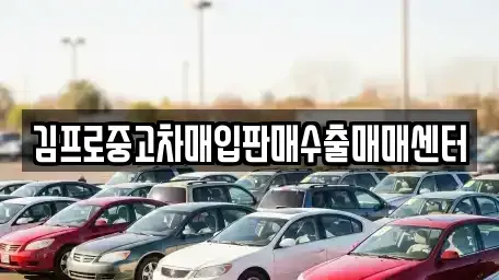 서울 종로구 익선동 중고차매입 전문 김프로중고차매입판매수출매매센터