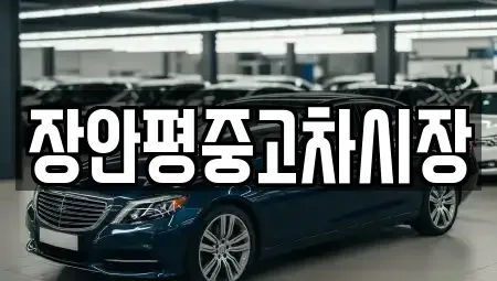 서울 중구 주자동 중고차매매 전문 장안평중고차시장