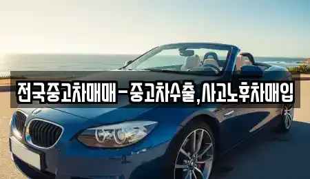 서울 중구 주자동 중고차매매,단기렌트카,중고차매입,장기렌트카,중고차,렌트카