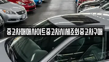 서울 중구 주자동 중고차매매 전문 중고차매매사이트중고차시세조회중고차구매