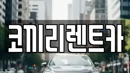 서울 중랑구 렌트카 전문 코끼리렌트카