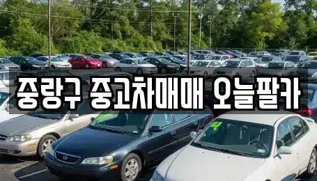 서울 중랑구 중고차 전문 중랑구 중고차매매 오늘팔카
