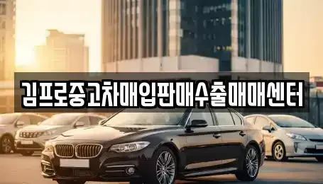 서울 중랑구 중고차매입 전문 김프로중고차매입판매수출매매센터