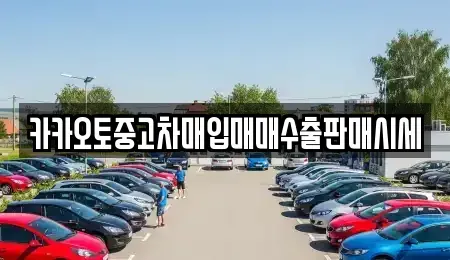 서울 중랑구 중고차매입 전문 카카오토중고차매입매매수출판매시세