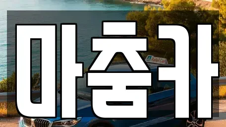 서울특별시 강남구 수서동 렌트카 전문 마춤카