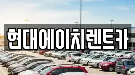 서울특별시 강남구 수서동 렌트카 전문 현대에이치렌트카