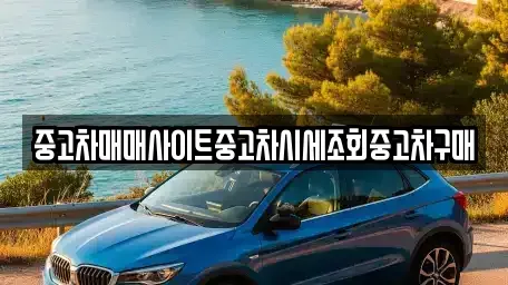 서울특별시 강남구 수서동 중고차매매 전문 중고차매매사이트중고차시세조회중고차구매