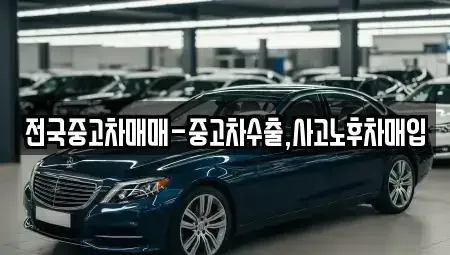서울특별시 강남구 수서동 중고차매입 전문 전국중고차매매-중고차수출,사고노후차매입