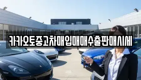 서울특별시 강남구 수서동 중고차매입 전문 카카오토중고차매입매매수출판매시세