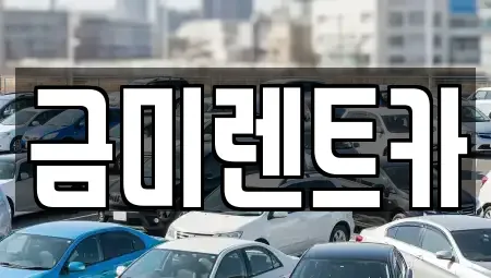 서울특별시 동작구 신대방동 렌트카 전문 금미렌트카