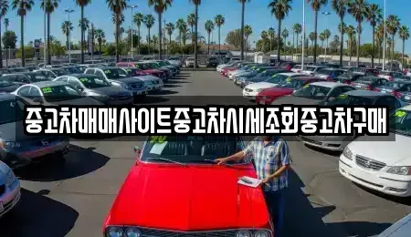 서울특별시 동작구 신대방동 중고차매매 전문 중고차매매사이트중고차시세조회중고차구매