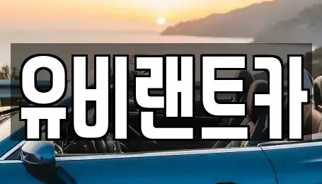 서울특별시 송파구 단기렌트카 전문 유비랜트카