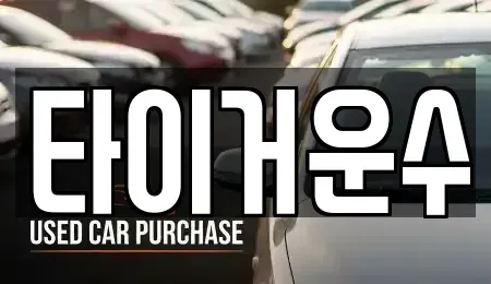 서울특별시 송파구 단기렌트카 전문 타이거운수