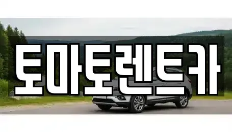 서울특별시 송파구 렌트카 전문 토마토렌트카