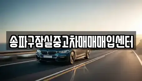 서울특별시 송파구 중고차 전문 송파구잠실중고차매매매입센터