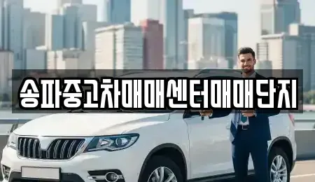 서울특별시 송파구 중고차 전문 송파중고차매매센터매매단지