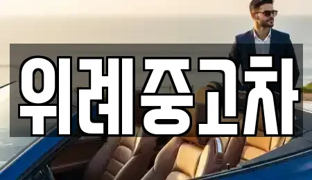 서울특별시 송파구 중고차 전문 위례중고차