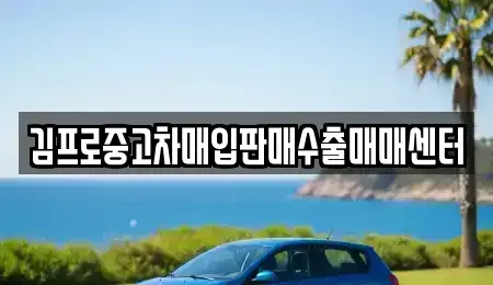 서울특별시 송파구 중고차매입 전문 김프로중고차매입판매수출매매센터