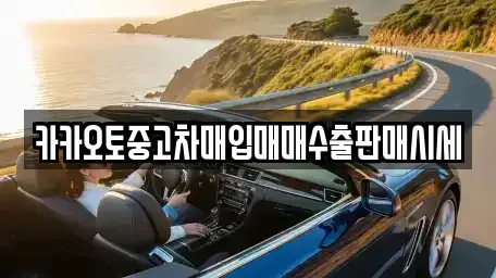 서울특별시 송파구 중고차매입 전문 카카오토중고차매입매매수출판매시세