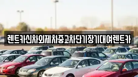 서울특별시 중구 만리동2가 렌트카 전문 렌트카신차외제차중고차단기장기대여렌트카