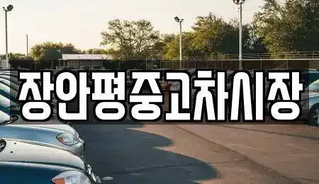 서울특별시 중구 만리동2가 중고차 전문 장안평중고차시장