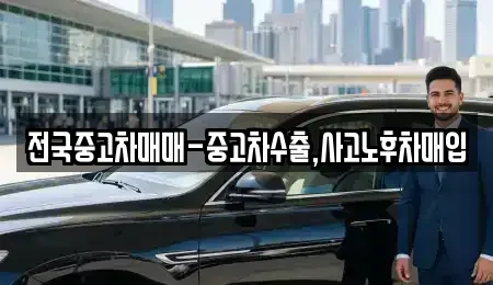 서울특별시 중구 만리동2가 중고차 전문 전국중고차매매-중고차수출,사고노후차매입