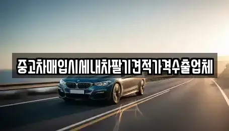 서울특별시 중구 만리동2가 중고차매입 전문 중고차매입시세내차팔기견적가격수출업체