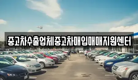 서울특별시 중구 만리동2가 중고차매입 전문 중고차수출업체중고차매입매매지원센터