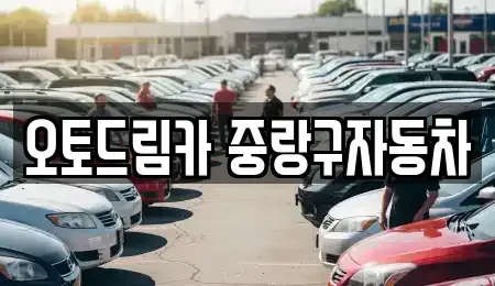 서울특별시 중랑구 묵동 중고차 전문 오토드림카 중랑구자동차