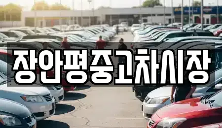 서울특별시 중랑구 묵동 중고차 전문 장안평중고차시장