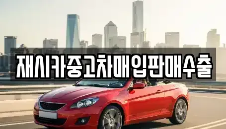 서울특별시 중랑구 묵동 중고차매입 전문 재시카중고차매입판매수출