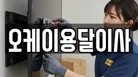 오케이용달이사