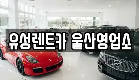 울산광역시 남구 신정동 렌트카 전문 유성렌트카 울산영업소