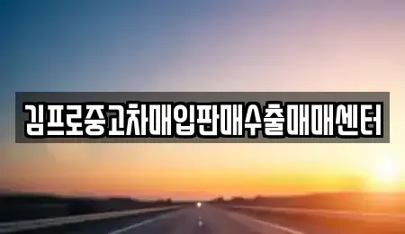 울산광역시 남구 신정동 중고차 전문 김프로중고차매입판매수출매매센터