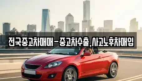 울산광역시 남구 신정동 중고차 전문 전국중고차매매-중고차수출,사고노후차매입