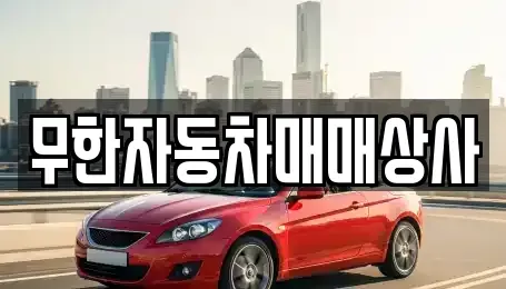 울산광역시 북구 효문동 중고차매매 전문 무한자동차매매상사