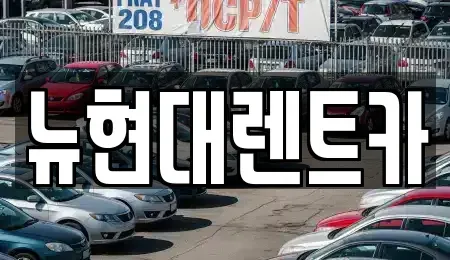 울산광역시 중구 남외동 렌트카 전문 뉴현대렌트카