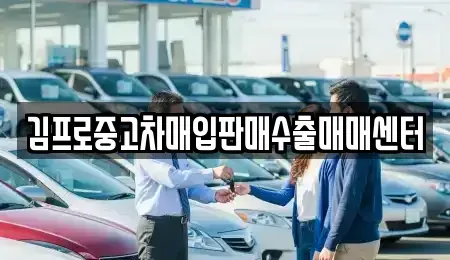 울산광역시 중구 남외동 중고차매매 전문 김프로중고차매입판매수출매매센터